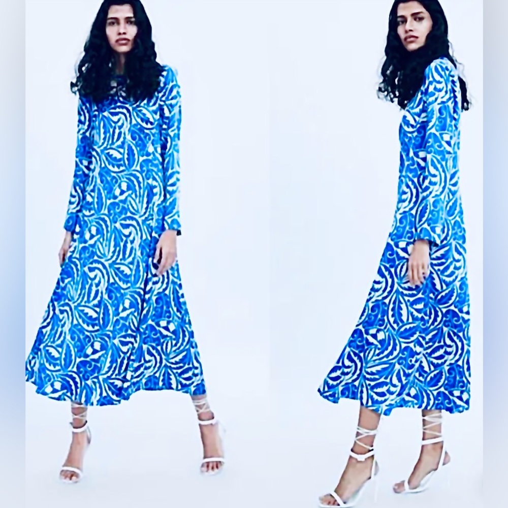 Zara Silk Maxi Long Sleeve Printed Dress | XS